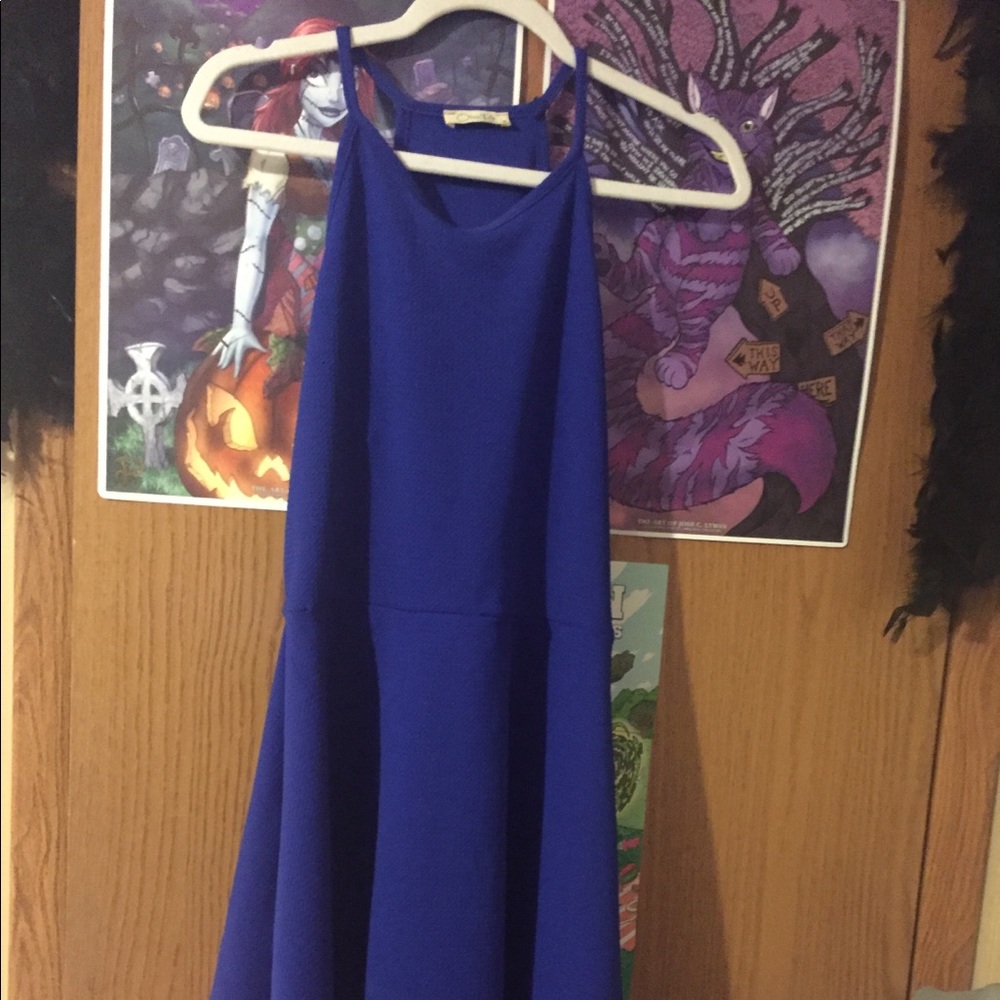 Blue Skater Dress